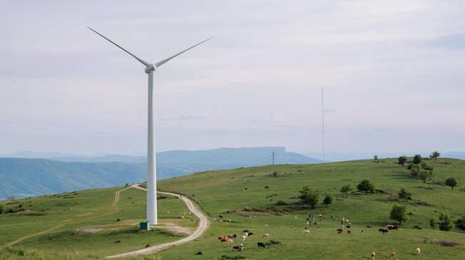 Striking the right balance between wind energy and biodiversity