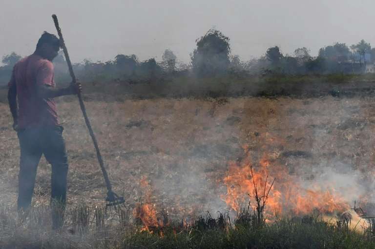 Stubble burning by farmers in breadbasket states surrounding Delhi contribute to lethal smog  which makes Indian capital the wor