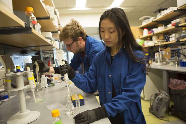 Students genetically engineer E. coli for skin ailment treatments