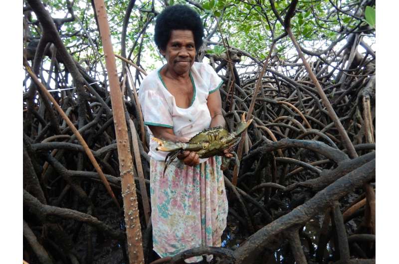 Study finds Tropical Cyclone Winston damaged fisheries as well as homes in Fiji