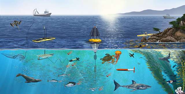 Studying marine biodiversity from pole to pole