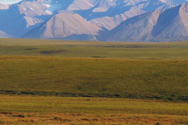 Study links climate policy, carbon emissions from permafrost