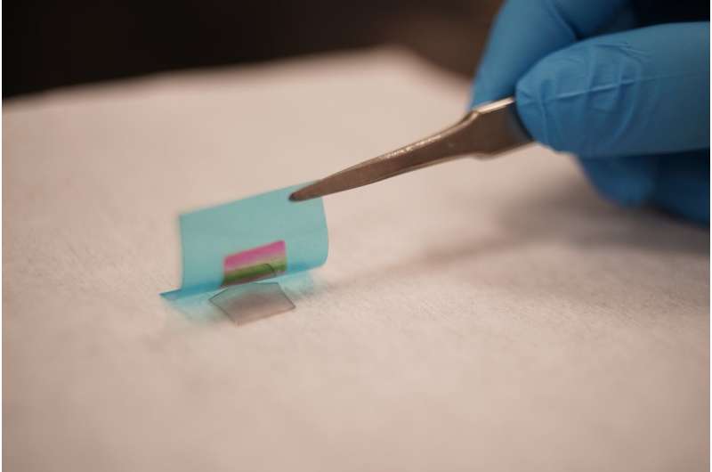 Study opens route to flexible electronics made from exotic materials