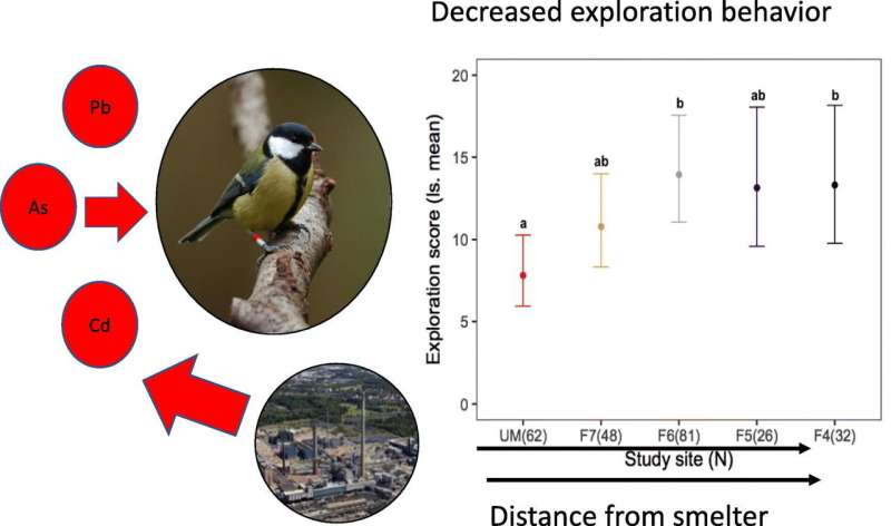 Study results suggest wild birds suffer personality disorders due to ingestion of heavy metals