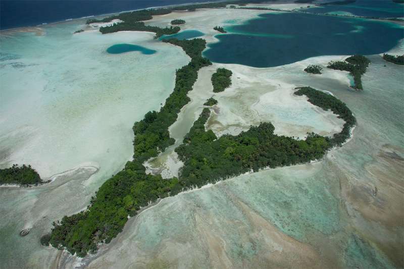 Study shows 5,000 percent increase in native trees on rat-free Palmyra Atoll