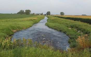 Study shows wetlands provide landscape-scale reduction in nitrogen pollution