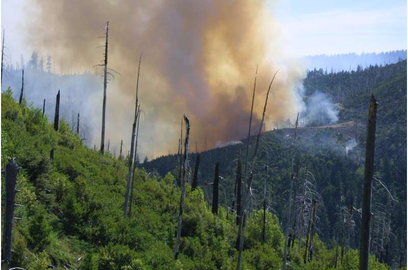 Study: Warming future means more fire, fewer trees in western biodiversity hotspot