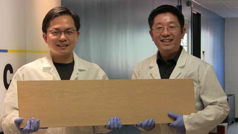 Super wood could replace steel