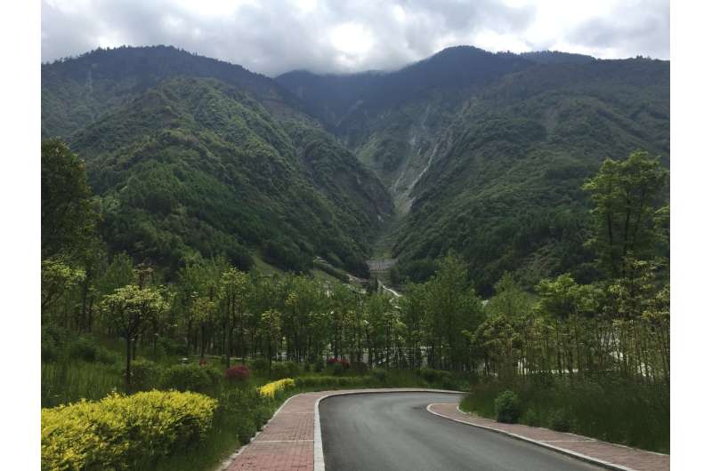 Survival and restoration of China's native forests imperiled by proliferating tree plantations