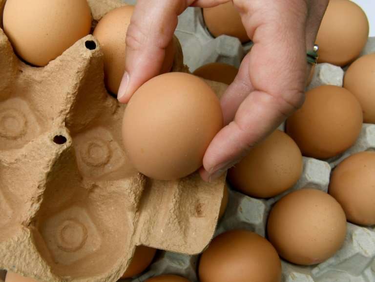 Tainted eggs were discovered in routine testing at a packing centre in the Lower Saxony town of Vechta