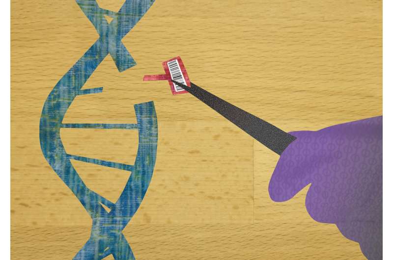 Taking CRISPR from clipping scissors to word processor