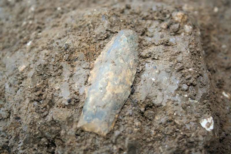 Team finds oldest weapons ever discovered in North America