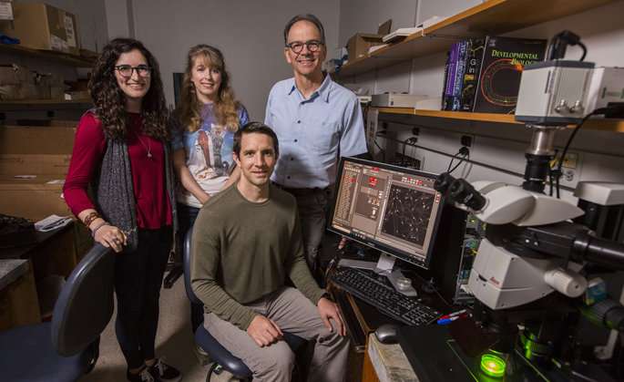 Team seeks to create genetic map of worm’s nervous system