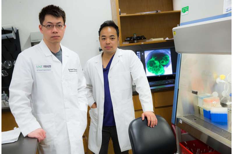 Team studying rare disorder discovers novel way to target melanoma