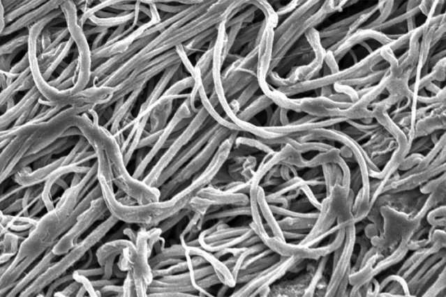 Technique could produce strong, resilient nanofibers for many applications