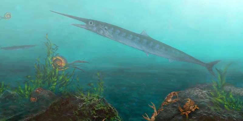 Ten-year-old boy helps paleontologists discover ancient fish species