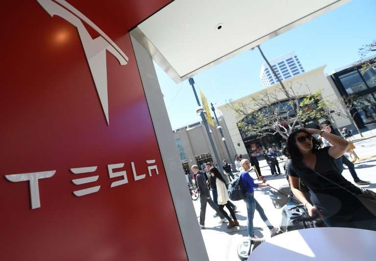 Tesla, which had been a darling of investors in recent years, has seen its stock hammered recently amid concerns over the future