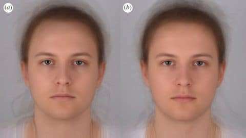 That's sick! Humans identify infected peers from a photo
