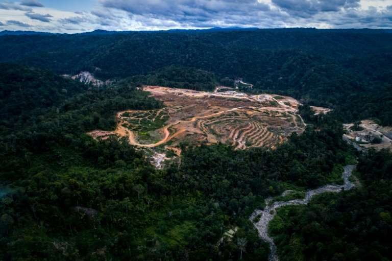 The $1.6 billion dam project will cut through the heart of the critically endangered orangutan's habitat