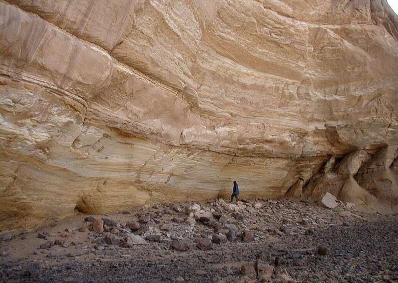 The absence of ants -- Entomologist confirms first Saharan farming 10,000 years ago