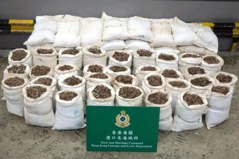 The amount of pangolin scales recovered in Hong Kong increased in 2017 after the CITES protection upgrade—a total of 7.7 tonnes 
