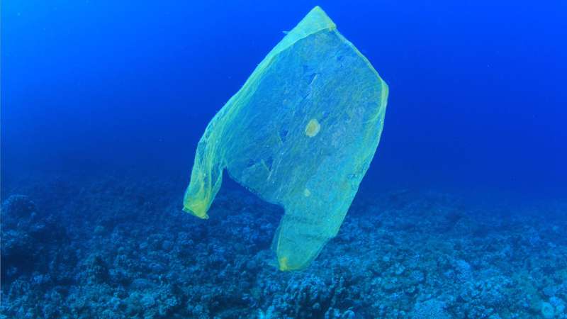 The battle to ban plastic bags