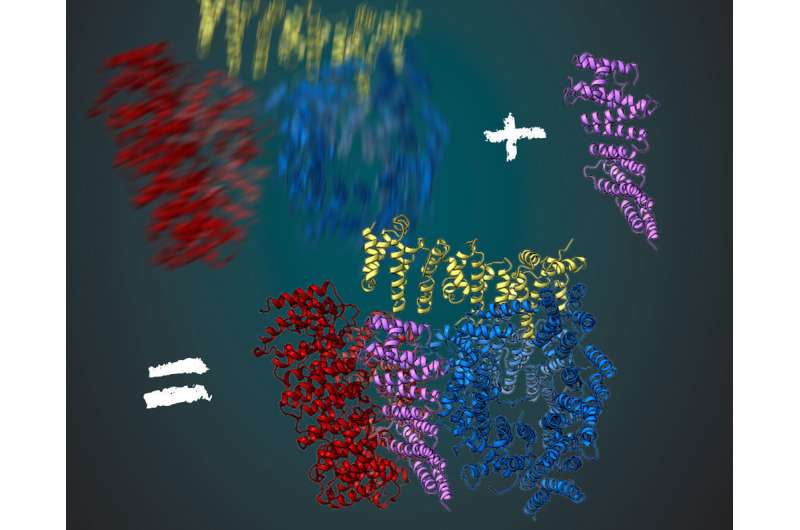 The cryo-electron microscopy structure of huntingtin