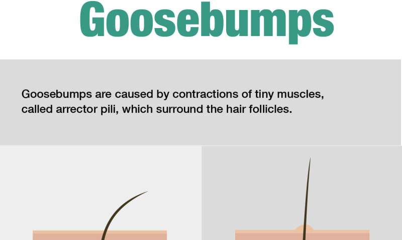 The curious case of the people who can control their goosebumps