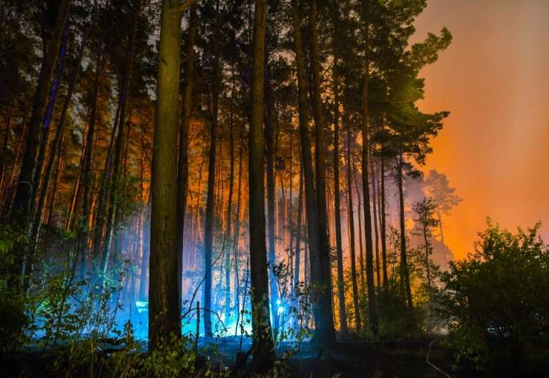 The fire as spread through as more than 400 hectares (1,000 acres) of woodland just half an hour's drive from Berlin
