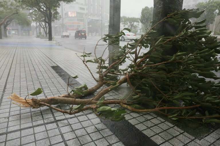 The gusts damaged trees on Okinawa island