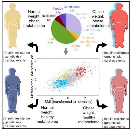The metabolome: A way to measure obesity and health beyond BMI
