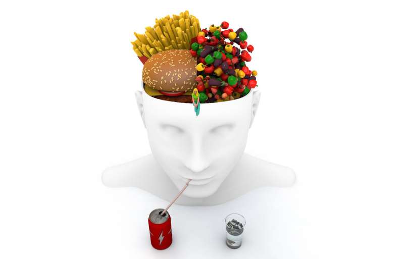 The obesity epidemic—understanding how the brain responds to food choices