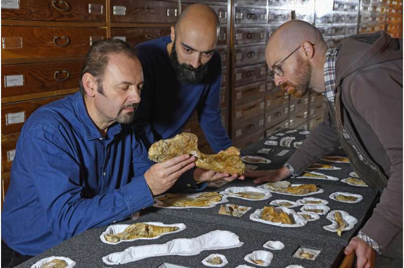 The oldest large-sized predatory dinosaur comes from the Italian Alps
