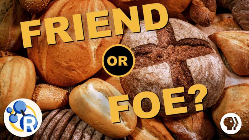 The only video you'll ever need to watch about gluten (video)