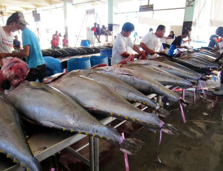 The Pacific accounts for almost 60 percent of the global tuna catch, worth about $6.0 billion annually