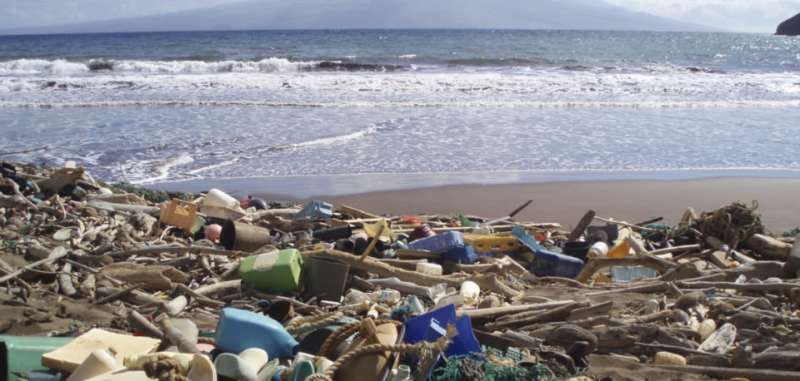 The path to reducing plastic pollution
