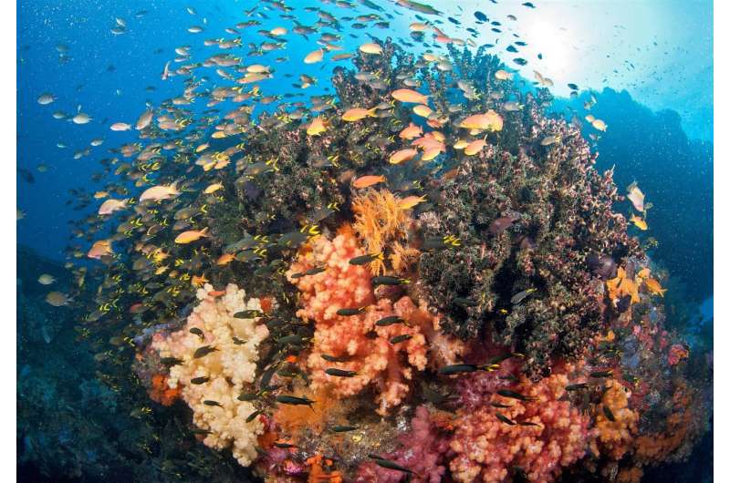 There is no ‘one-size fits all approach’ to ocean protection