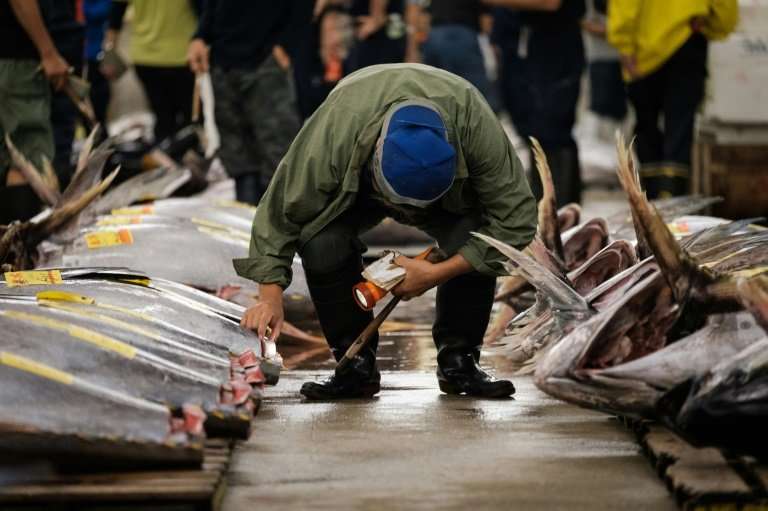 There were concerns about outdated fire regulations and hygiene controls at Tsukiji