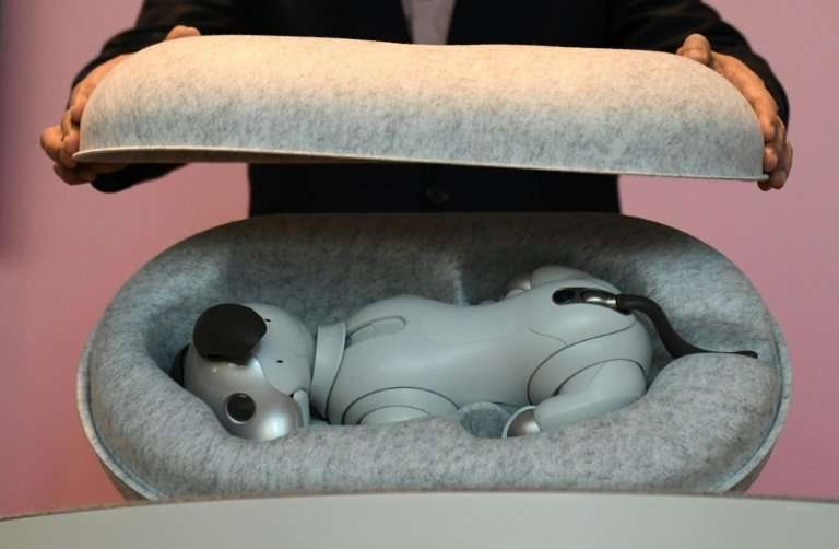 The robot dog 'woke up' as if being roused from a slumber