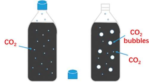 The science behind the fizz: How the bubbles make the beverage