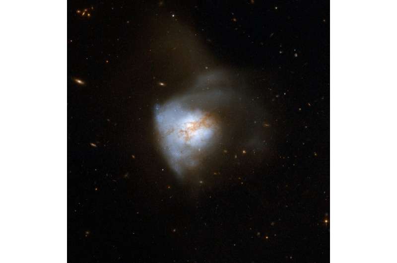 The structure of an active galactic nucleus