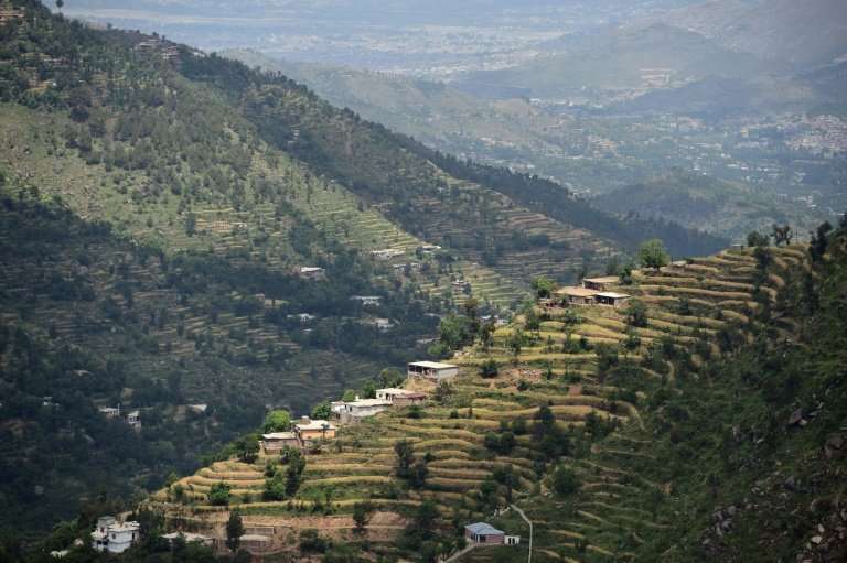 The Swat valley of Khyber Pakhtunkhwa in northwest Pakistan, where previously arid hills are now covered with forest as far as t