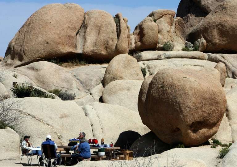 The time between Christmas and New Year's is among Joshua Tree park's busiest
