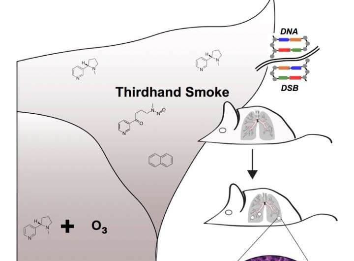 Thirdhand smoke found to increase lung cancer risk in mice