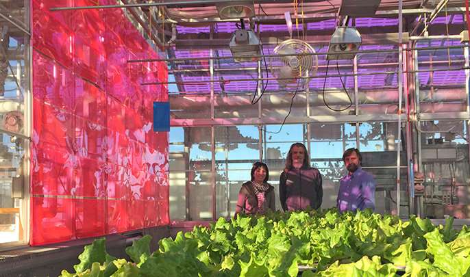 This solar greenhouse could change the way we eat