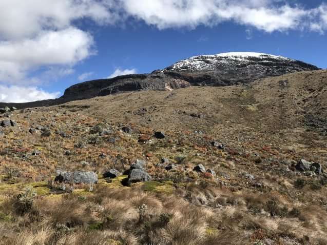 This unique Andean ecosystem is warming almost as fast as the Arctic