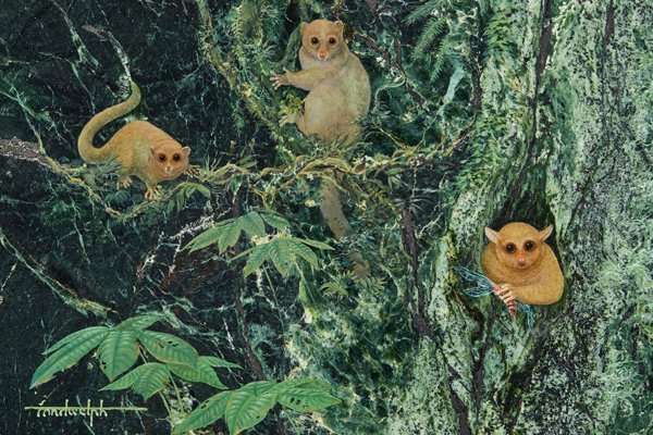 Three previously unknown ancient primates identified