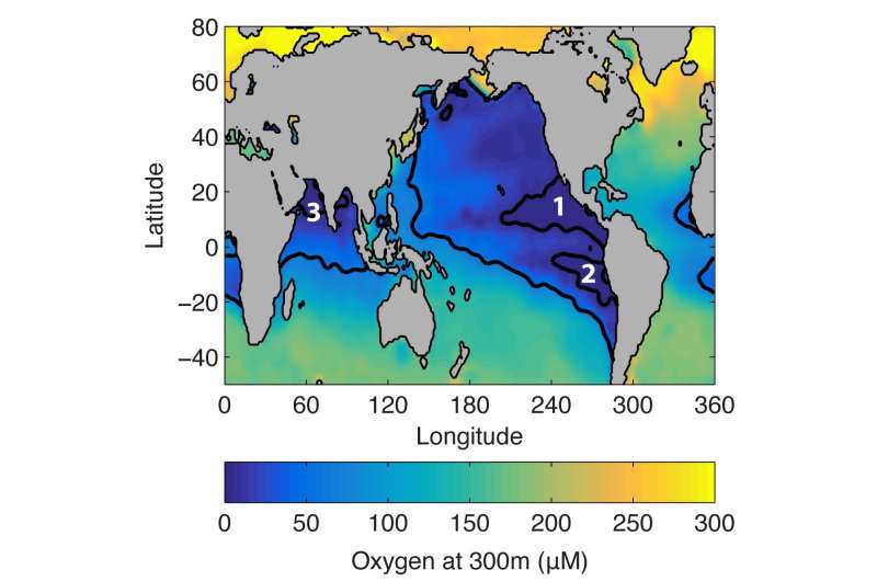 Tiny microenvironments in the ocean hold clues to global nitrogen cycle
