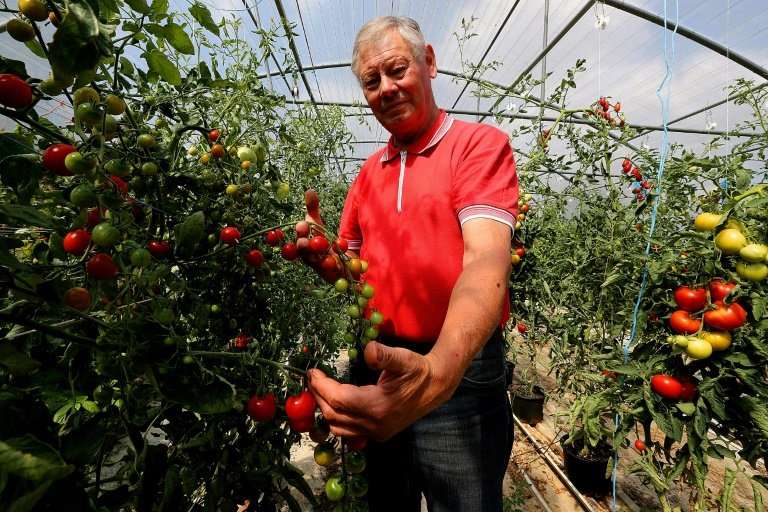 Tomato farmer Jean-Claude Terlet has blamed Monsanto's flagship weedkiller Round Up for causing his prostate cancer