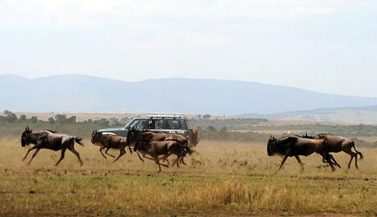 Tourism is now the second largest driver of growth in Kenya, home to some of the world's most visited safaris